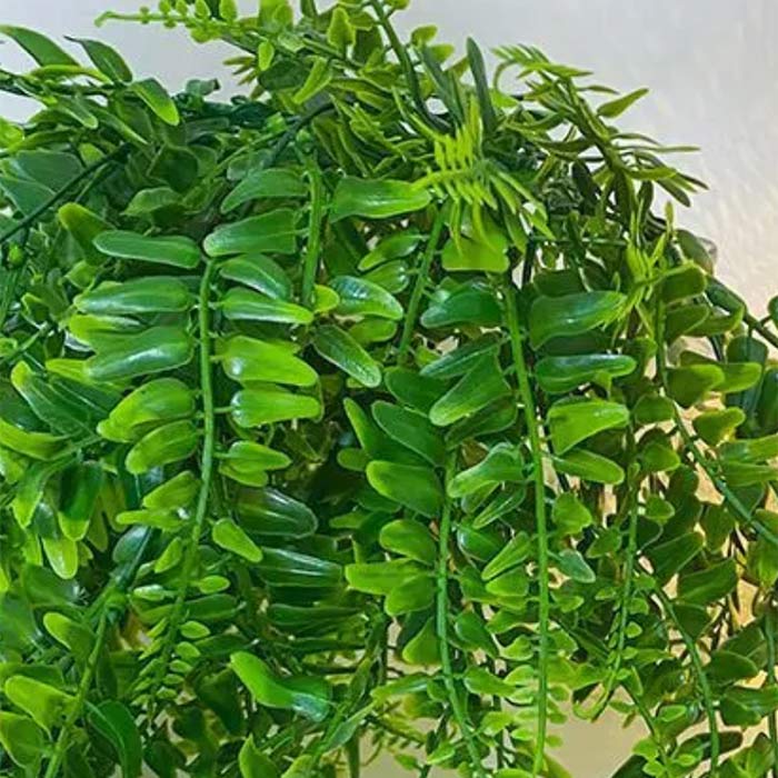 Fern Visící Umělý Kapradí 1+1 ZDARMA - Image 2