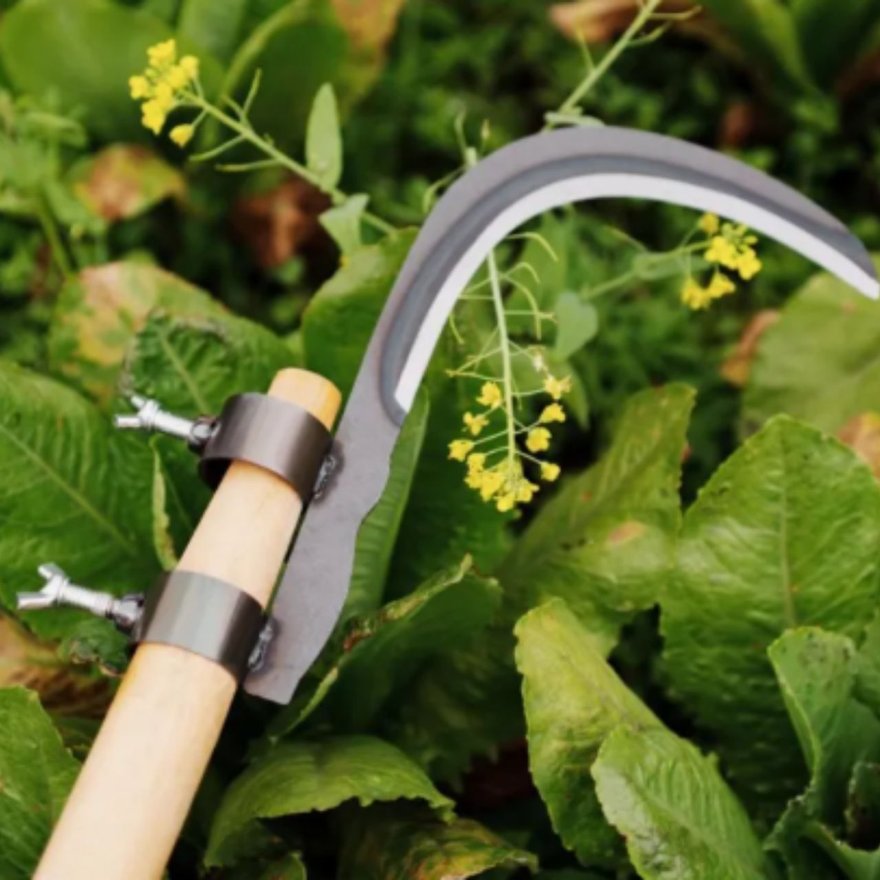 AgroTool, řezačka větví, plevele, trnů a vegetace - Image 10