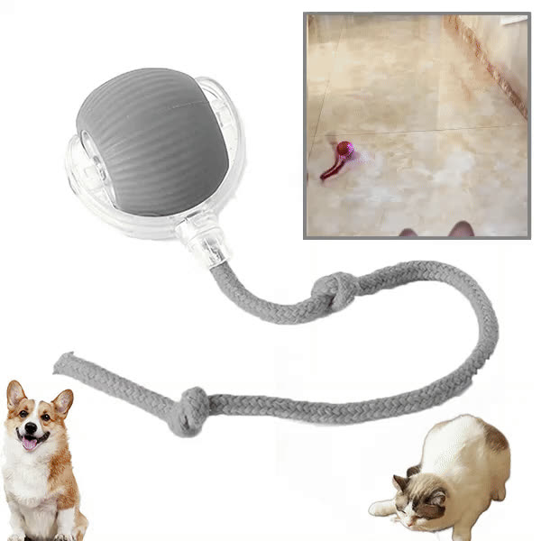 DOGTOY, ChewiePlay interaktivní míček - video