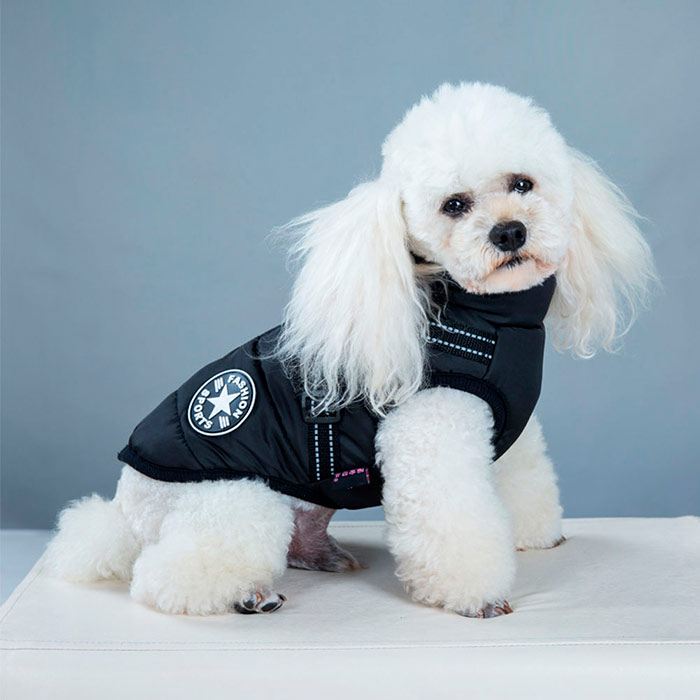 DogJacket, reflexní a voděodolný zimní kabát pro psy - Image 15