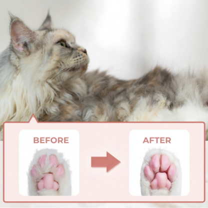 PAWTREAMER, PawPerfect Mini Trimmer pro Domácí Mazlíčky - Image 4