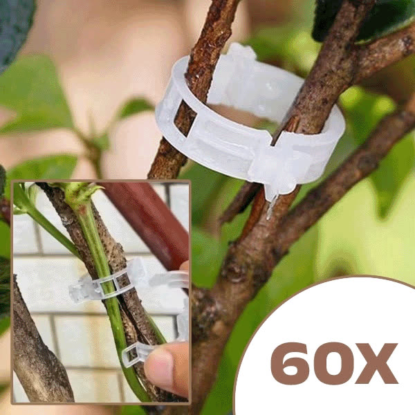 PLANTCLIP, GreenGrow Podpora pro Rostliny - 60 Spon - video