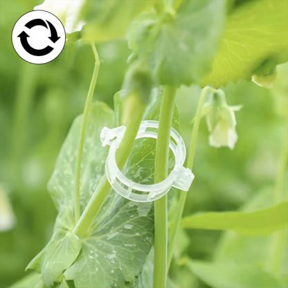 PLANTCLIP, GreenGrow Podpora pro Rostliny - 60 Spon - Image 4